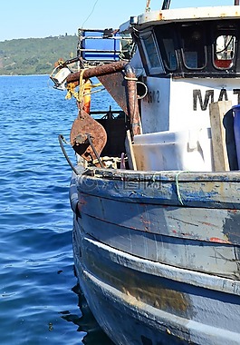 漁船,釣魚,端口