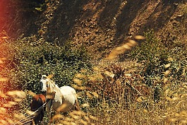 山,高原,戶外