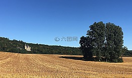 景觀,夏季,耕地