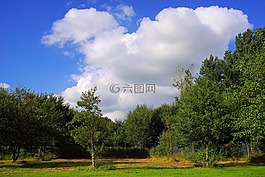 天空,樹(shù)木,性質(zhì)