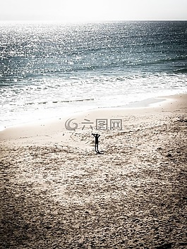 海,海洋,水
