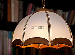 色調,燈罩,更換燈泡