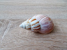 海,水,節(jié)日