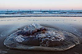 大海,海邊,沙灘