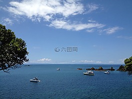 新西兰,海,海洋