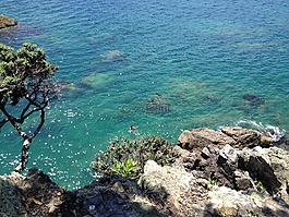 新西兰,海,海洋
