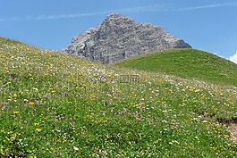 阿爾高,高山,首腦會議
