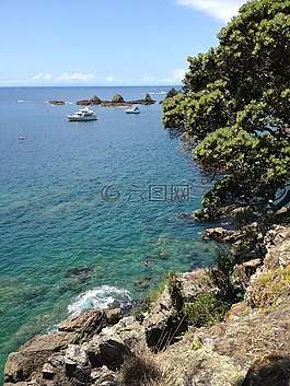 新西蘭,海,海洋
