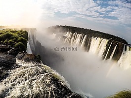山,樹,植物