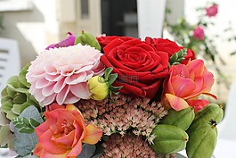 玫瑰,花束,鮮花