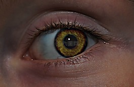 眼,棕色,臉