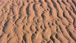 沙,海灘,海岸