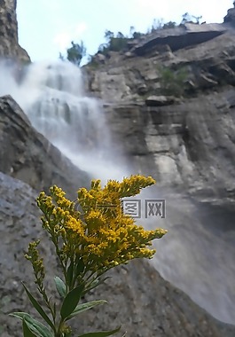 大瀑布,自然,景觀