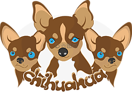 狗狗,chihuahua,狗