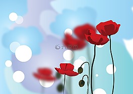 罌粟,花,紅色