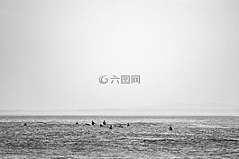 海,海洋,水
