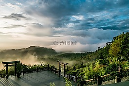 寶塔,越南,林董