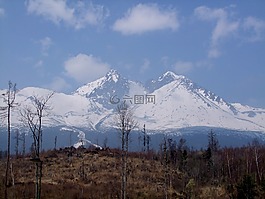 塔特拉,山,森林