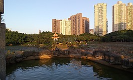 背影,素材,夕阳