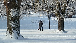 公園,家庭,雪覆蓋
