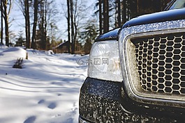 森林,汽车,offroad