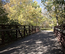 橋,自然,公園