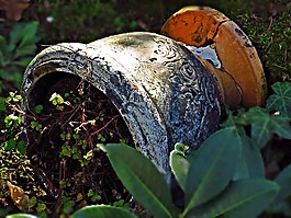 花,花盆,性質(zhì)