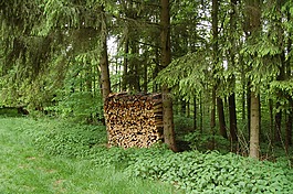 柴,holzstapel,堆棧