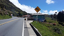路,信號,瀝青