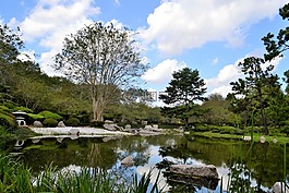 植物園,日本花園,休斯頓