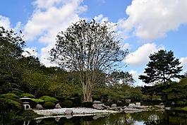 日本花園,休斯頓,德州
