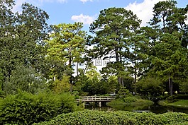 日本花園,木橋,伍茲