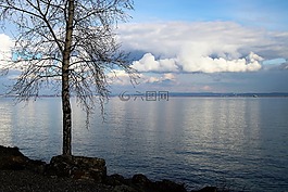 海灘,水,湖
