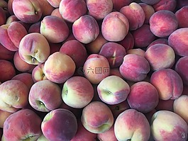 桃,水果,桃子
