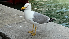 6 月,夏季,意大利