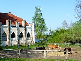 圍場(chǎng),孔雀島,柏林