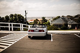 汽車,車,狗