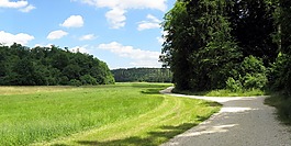 lonetal,干河谷,夏季