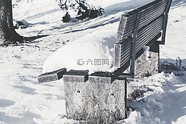雪,冬天,寒冬