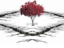 裂縫,樹,孤樹