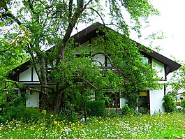 首頁,花園,草地