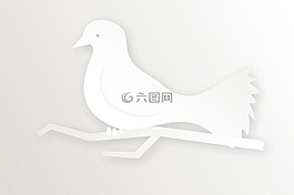 動物,自然,野生