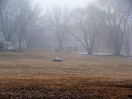 自然,景觀,景區(qū)