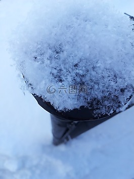雪,雪花,大
