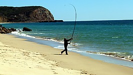 魚,海,捕魚
