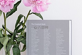 unsplash,书,列表