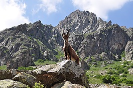 性質(zhì),巖,旅行