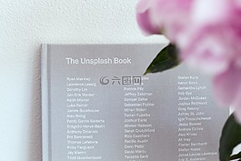 花,花瓣,模糊