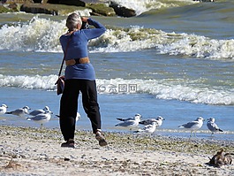 攝影師,波,海鷗