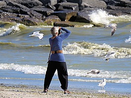 攝影師,波,海鷗